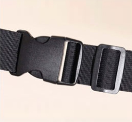 Buckles