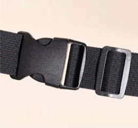 Buckles